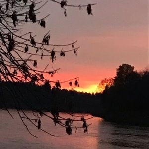 Meet your Posher, Alison